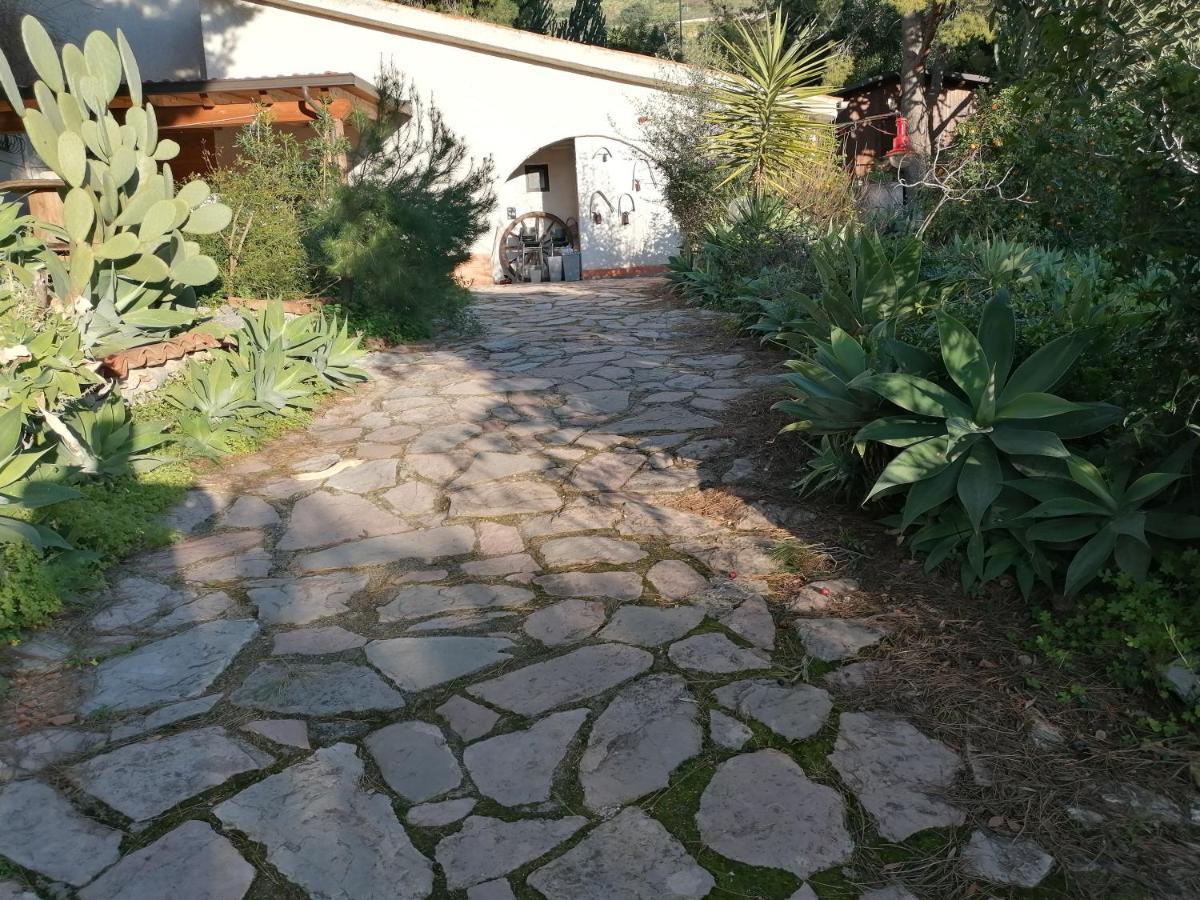 Villa Africa Capaci Εξωτερικό φωτογραφία